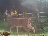 18125 County Hwy I Road - Photo 32