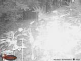 18125 County Hwy I Road - Photo 34