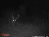 18125 County Hwy I Road - Photo 35