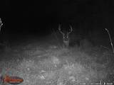 18125 County Hwy I Road - Photo 64