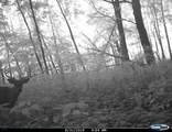 18125 County Hwy I Road - Photo 71