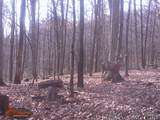 18125 County Hwy I Road - Photo 72