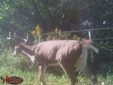 18125 County Hwy I Road - Photo 82
