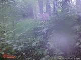 18125 County Hwy I Road - Photo 85