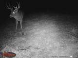 18125 County Hwy I Road - Photo 86