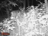 18125 County Hwy I Road - Photo 90