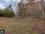 Lots 34-37 Effigy Mounds Lane - Photo 12