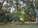  Dyke Drive - Photo 12