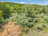 L121 Staghorn Black Forest Drive - Photo 11