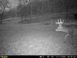 40 Acre Lot Walnut Lane - Photo 15