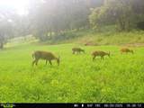 40 Acre Lot Walnut Lane - Photo 16
