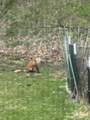 830 Gammon Road - Photo 27