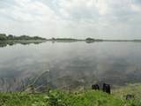 N2097 Highway 49 - Photo 10