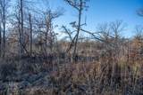 Lot 1 Grosbeak Avenue - Photo 13