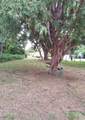 2041 Fairfax Avenue - Photo 1