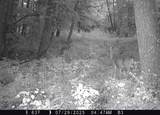 46113 Sand Creek Road - Photo 42