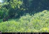 46113 Sand Creek Road - Photo 43