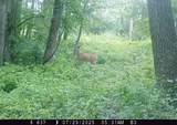 46113 Sand Creek Road - Photo 44