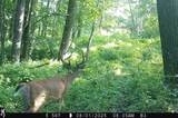 46113 Sand Creek Road - Photo 45