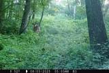 46113 Sand Creek Road - Photo 47