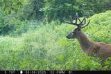 46113 Sand Creek Road - Photo 48