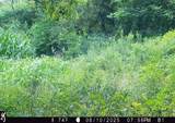 46113 Sand Creek Road - Photo 49