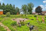 102 Cheney Avenue - Photo 58