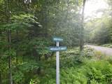 Lot 1 Eagles Nest Lane - Photo 4