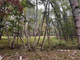 2.8 Ac Deer Run Road - Photo 24