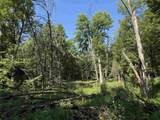 2.8 Ac Deer Run Road - Photo 28