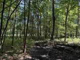 2.8 Ac Deer Run Road - Photo 33