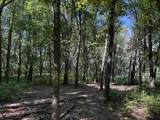 2.8 Ac Deer Run Road - Photo 34