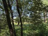 2.8 Ac Deer Run Road - Photo 41