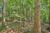0 Pine Ridge Court - Photo 4