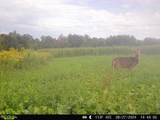 86 Ac County Road S - Photo 87