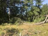 150.61 Ac Fawn Lane - Photo 4