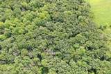 9.85 Acres Stevenson Drive - Photo 9