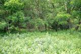 4.75 Ac Fish Court - Photo 8