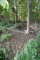 45 Spring Hill Rd Road - Photo 15