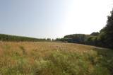 45 Spring Hill Rd Road - Photo 22