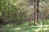 45 Spring Hill Rd Road - Photo 26