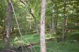 45 Spring Hill Rd Road - Photo 9