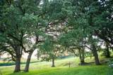 8991 Mckenzie Lane - Photo 49