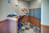 5198 Sassafras Drive - Photo 5