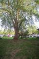 1010 Sunnyvale Lane - Photo 36