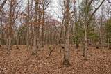 E9976 Trout Road - Photo 2