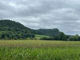 68.33 ac Highway 131 Acres - Photo 11