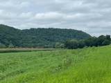68.33 ac Highway 131 Acres - Photo 16
