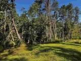 3.17 AC Bass Lake Lane - Photo 14
