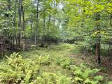 80 Ac County Road G - Photo 2